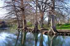 Austin: nature, Trees, river