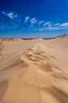 Austin: Sand, dunes, footprints