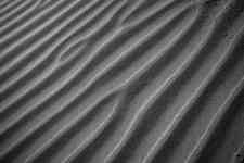 Austin: Sand, desert, dunes