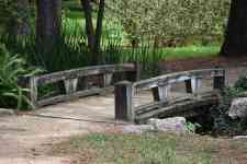 Austin: lake, wooden bridge, herman national park
